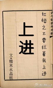 (红楼同人)红楼之不要拦着我上进