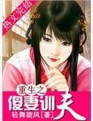 重生之傻妻训夫