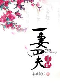 一妻四夫手记/共妻守则
