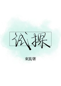 试探