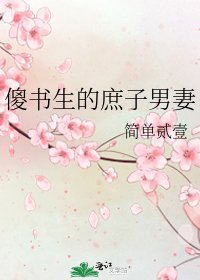傻书生的庶子男妻