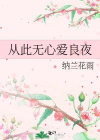 从此无心爱良夜
