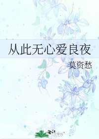 从此无心爱良夜