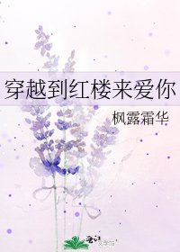 穿越到红楼来爱你