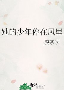 她的少年停在风里
