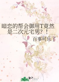暗恋的帮会御用T竟然是二次元宅男?!