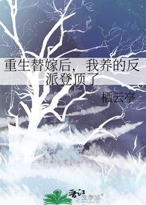 重生替嫁后,我养的反派登顶了