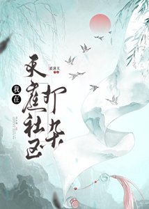 我在天锚社区打杂